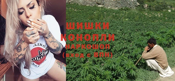 эйфоретик Пестово