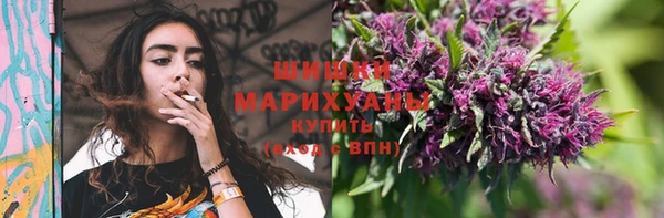 прущие крисы Переславль-Залесский