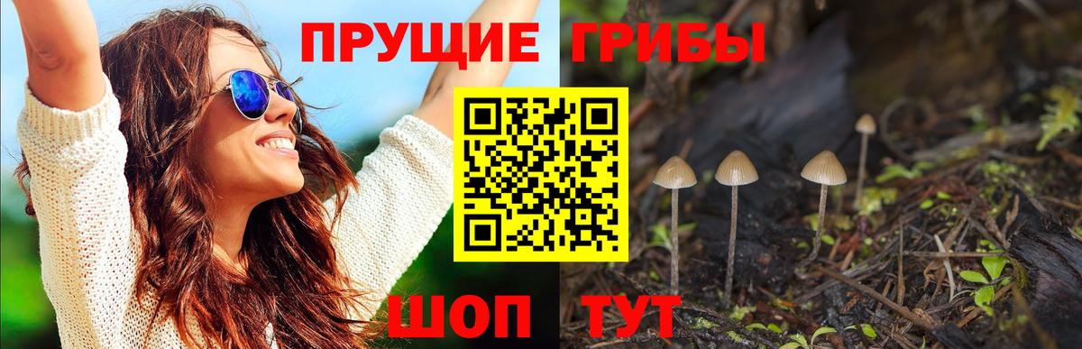 Галлюциногенные грибы мухоморы  Вход с VPN  Альметьевск 